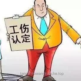 小学生在校受伤责任判定，驳回起诉案例解析